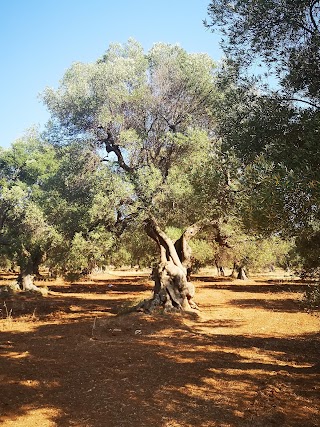 TuinPuglia