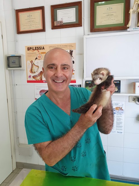 Ambulatorio Veterinario Dott. Stefano Giammetti