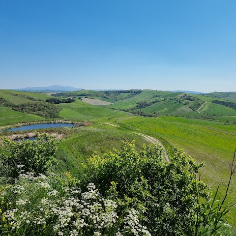 Tuscany Adventure - Escursioni in Quad Siena, Toscana, Podere Fornace