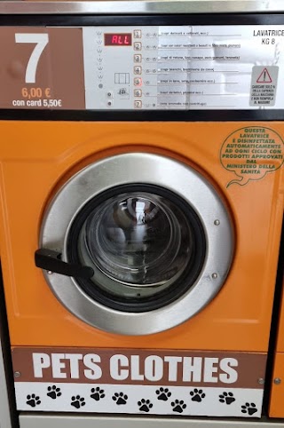 Self Service Laundry myorange