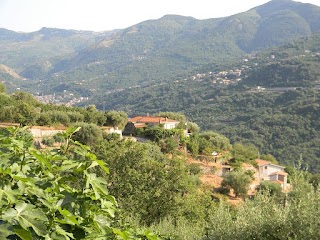 Agriturismo "Don Cesarino" - Az. Agr. Ing. Dario Di Vincenzo