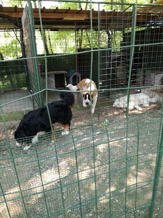 Podere la Galassa Rifugio Zannabianca x (cani).