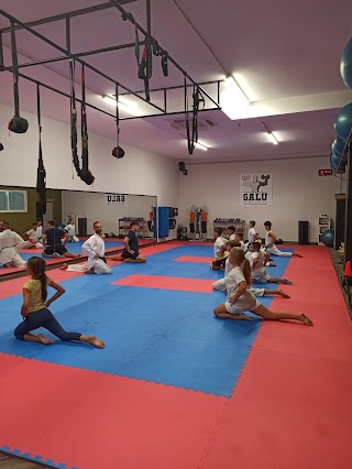 Workout A.s.d. Scuola di Karate