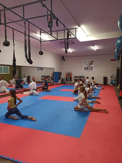 Workout A.s.d. Scuola di Karate