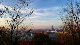 Visite Guidate di Torino con Guida Turistica Abilitata