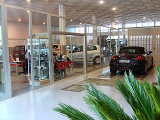 Fraboni e Menghini Srl Volkswagen Service