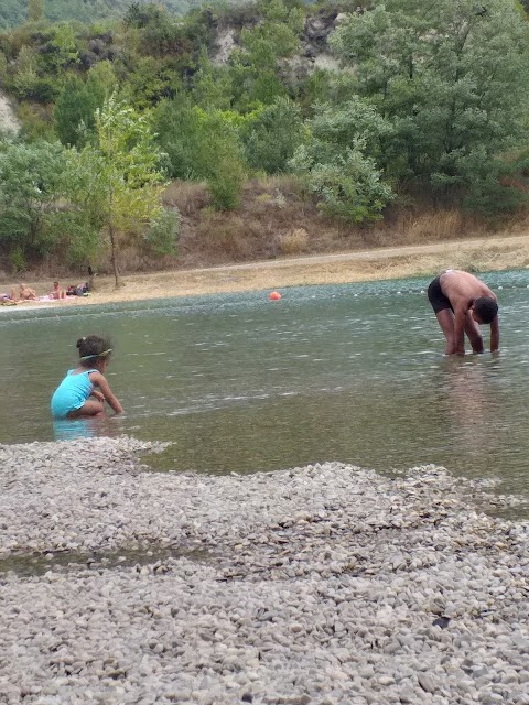 Piscine Municipale