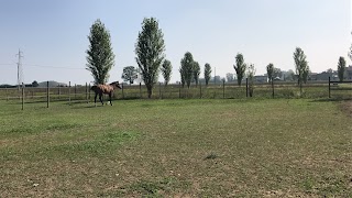 Quinto Equestrian Centre A.S.D. - Maneggio a Stradella