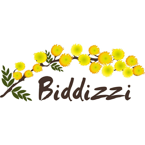 Biddizzi Forniture & Academy