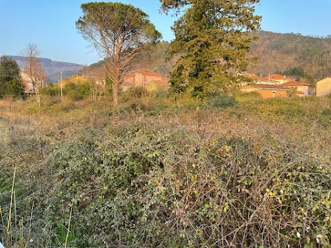 Azienda Forestale Quiligotti Gian Luca