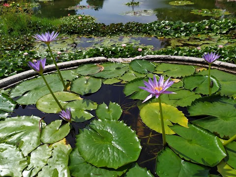 Parco Giardino Sigurtà