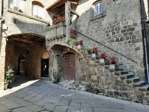 Visitare la Tuscia - guida turistica abilitata per Viterbo e Roma - Marco Zanardi