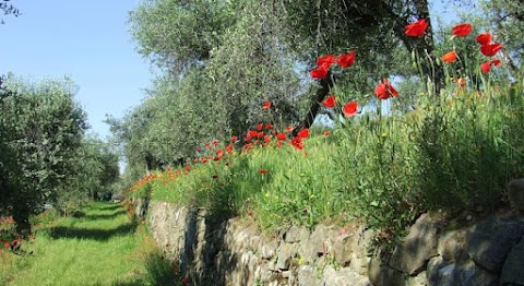 Agriturismo Bellavita