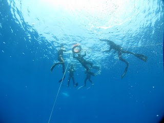 Freediving Blue Dream - Corsi Apnea Roma