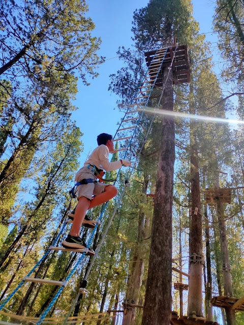 Parco Avventura Vincigliata