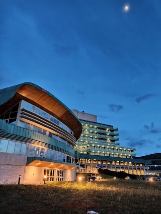 Università degli Studi di Catanzaro "Magna Graecia"