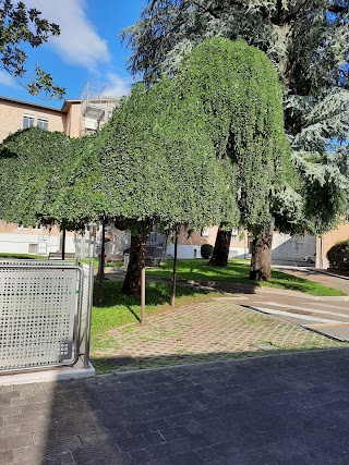 Ospedale di Cittadella