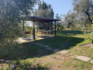 Agriturismo Podere Sottogello