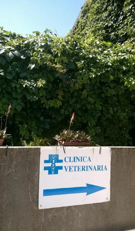 Clinica Airone - Veterinari Associati Piccinini e Ardizzoni