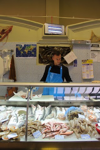 Pescheria Tinarelli Andrea - Mercato delle Erbe