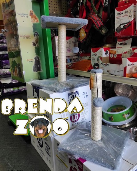 Brenda Zoo