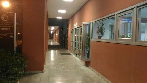 Istituto di Fisica Applicata Nello Carrara