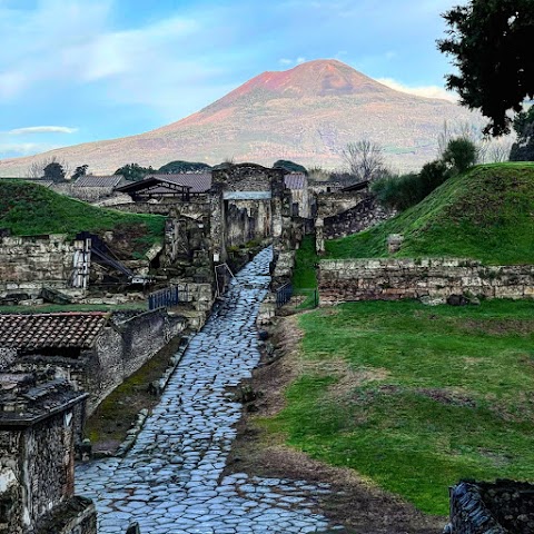 Enjoy Pompeii