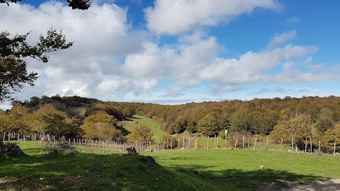 Parco dei Nebrodi