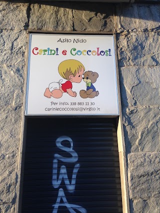 Asilo Nido "Carini e Coccolosi"