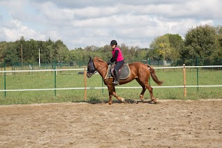 Passeggiate a Cavallo in provincia di Milano - Scuderia Esposito