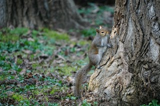 Parco Cabassina