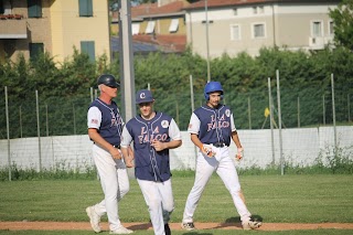 ASD COLORNO BASEBALL