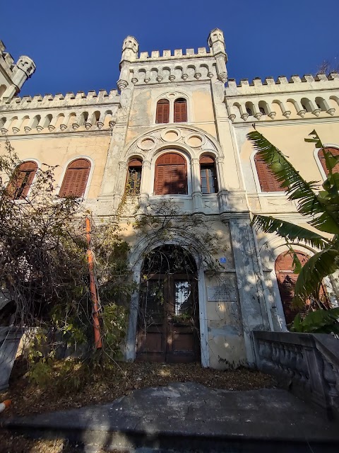 Università degli Studi di Trieste