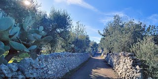 Colori della Puglia