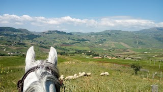 Sicily on horseback