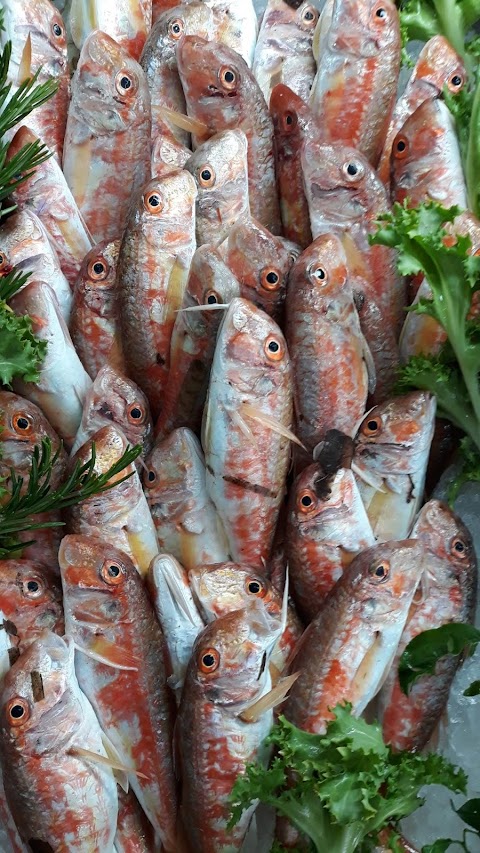 Pescheria il Mare a Tavola