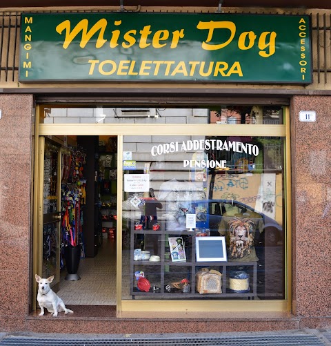 Mister Dog Frascati