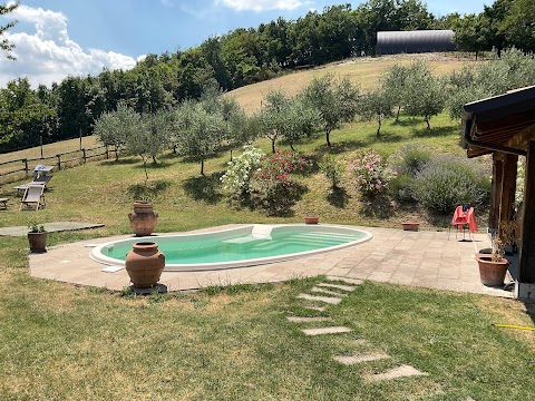 Agriturismo Terre di Casalia