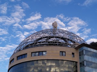 Università Vita-Salute San Raffaele