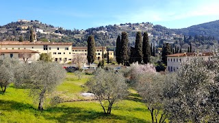 Bar Le Fontanelle Di Lapini Marco