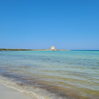 Spiaggia Zona A AMP Torre Guaceto