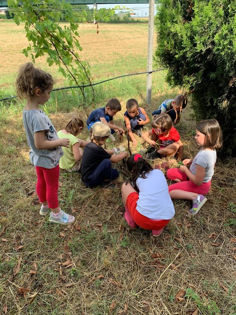 Centro Ippico Albarella - Pony Club, Scuola Equitazione, Pensione Cavalli