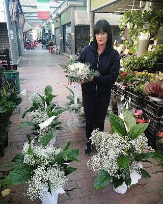 Francesca e maurizio piante e fiori box 12