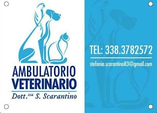 Ambulatorio Veterinario Dott.ssa S.Scarantino