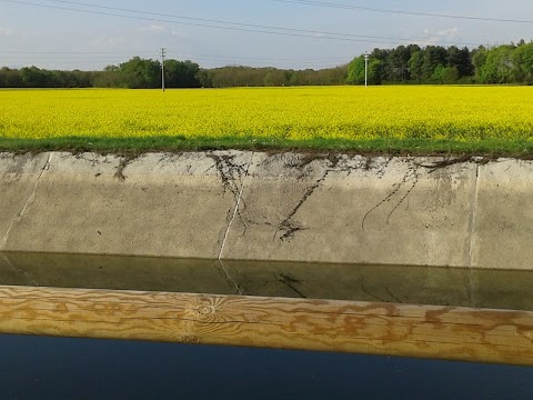 Rongione di Arconate - Vasca della Esse