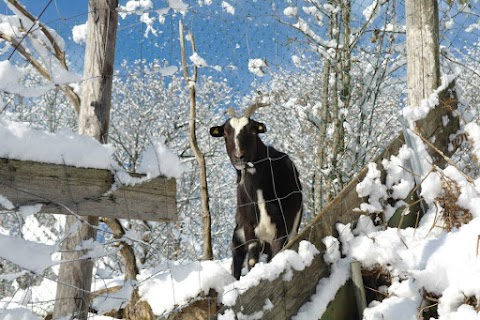 Fattoria Didattica "Lo Spaventapasseri" Az. Agricola Le Lame - Agri Nido per Bambini