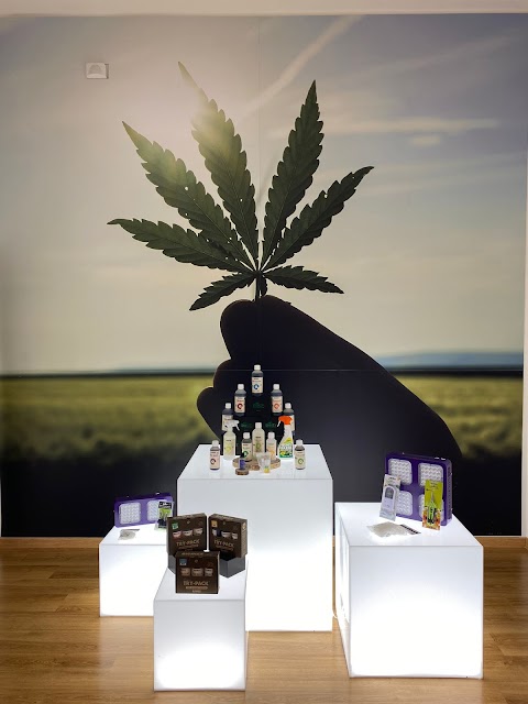 EHHZY 4 - CANNABIS STORE / DELIVERY