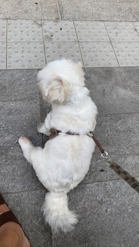 Piccoli Amici Toilette per Animali