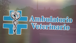 Ambulatorio Veterinario Borsetta Dr.ssa Barbara