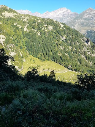 Laghi di trione